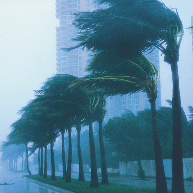 Protecting Windstorm